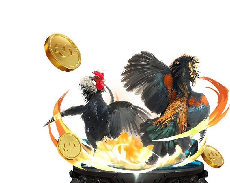 Hình ảnh tổng quan các chương trình khuyến mãi Win55